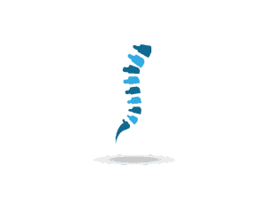 Spine vector